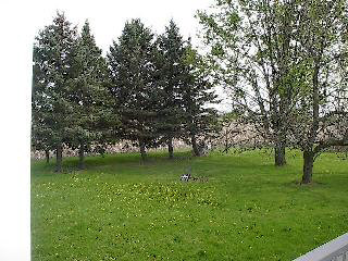 13841 North Ridge Road Milan, MI 48160 - Photo 20 of 20 464473-19.JPG