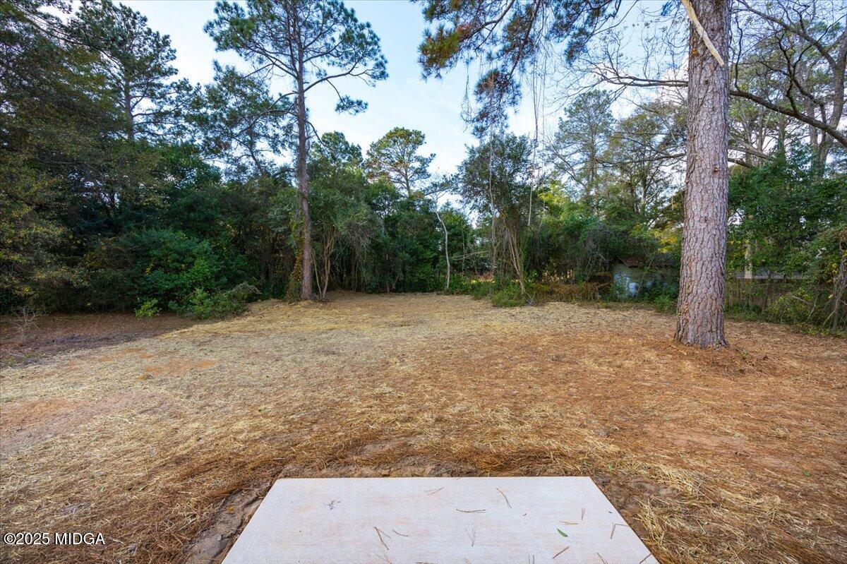 315 Lee Street Perry, GA 31069 - Photo 22 of 26 a view of backyard with green space