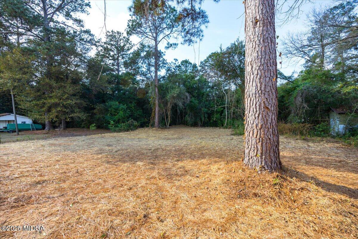 315 Lee Street Perry, GA 31069 - Photo 23 of 26 a view of backyard with tree