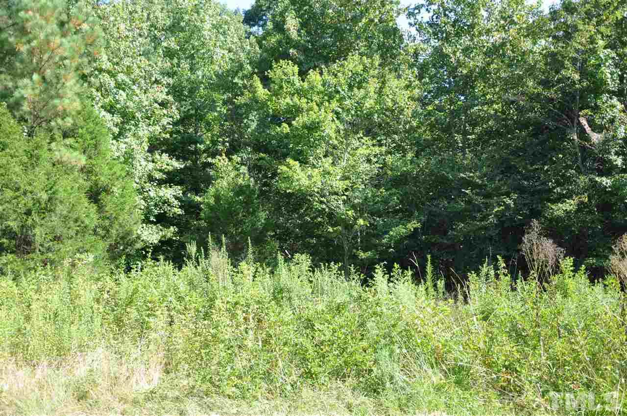 902 Rd Bennett Nc 27208 Road Bennett, NC 27208 - Photo 2 of 3