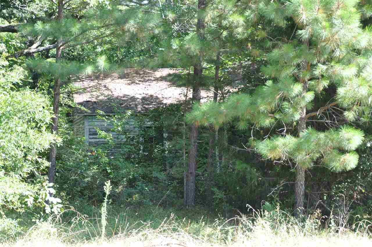 902 Rd Bennett Nc 27208 Road Bennett, NC 27208 - Photo 3 of 3
