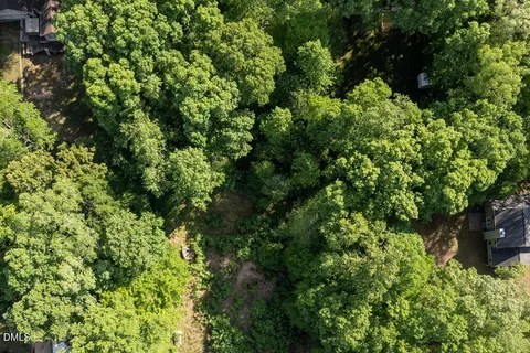 a view of a lush green forest