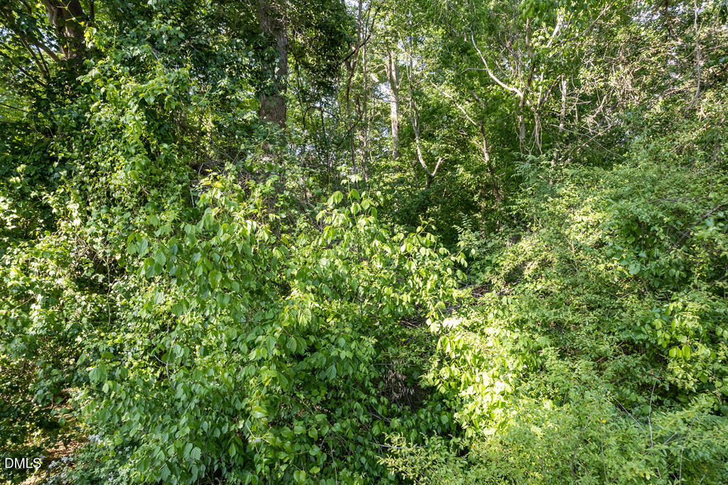 5809 Meadowlark Lane Raleigh, NC 27610 - Photo 14 of 14 a view of a lush green forest