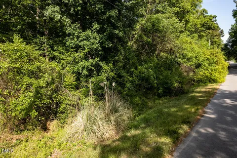 a view of a lush green forest