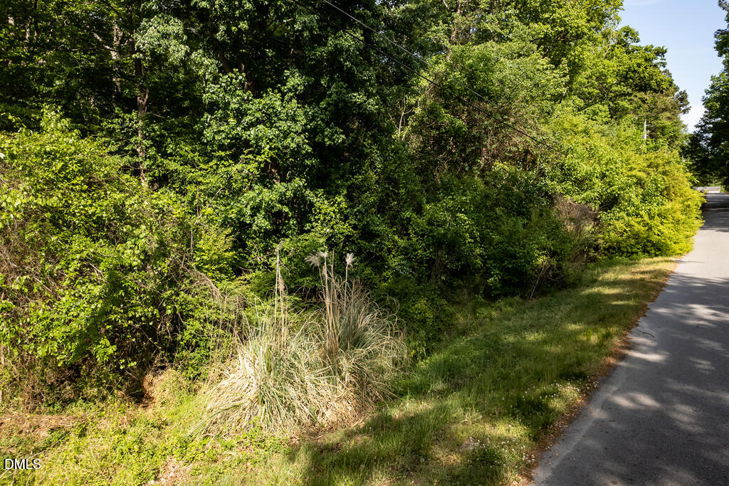 5809 Meadowlark Lane Raleigh, NC 27610 - Photo 6 of 14 a view of a lush green forest