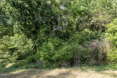 a view of a tree