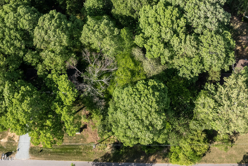 5809 Meadowlark Lane Raleigh, NC 27610 - Photo 10 of 14 a view of a yard