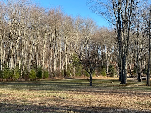 90 Redding Road Easton, CT 06612 - Photo 15 of 32 a view of outdoor space with trees