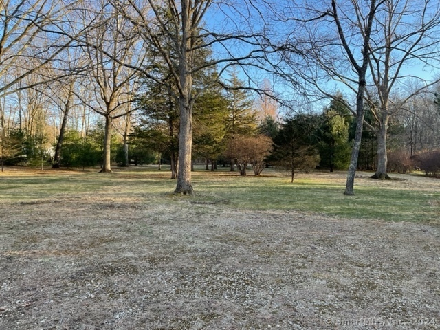 90 Redding Road Easton, CT 06612 - Photo 18 of 32 a view of a tree in a park