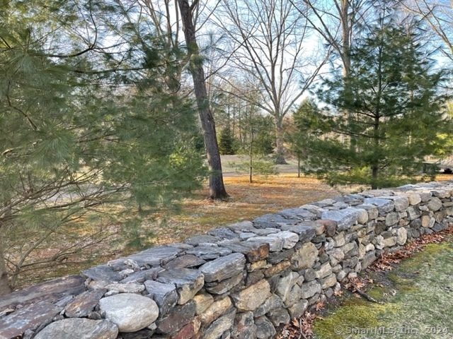 90 Redding Road Easton, CT 06612 - Photo 30 of 32 a backyard of a house with lots of green space
