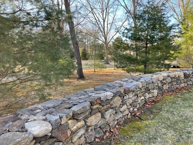 90 Redding Road Easton, CT 06612 - Photo 5 of 32 a view of a yard with plants and trees