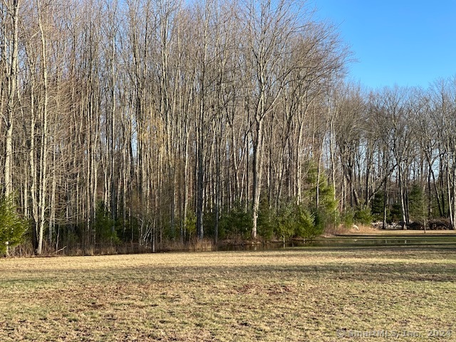 90 Redding Road Easton, CT 06612 - Photo 7 of 32 a view of a yard with large trees