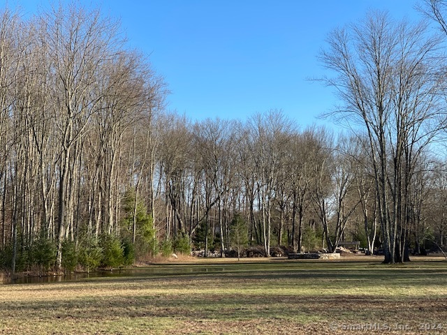 90 Redding Road Easton, CT 06612 - Photo 10 of 32 a view of a house with a yard