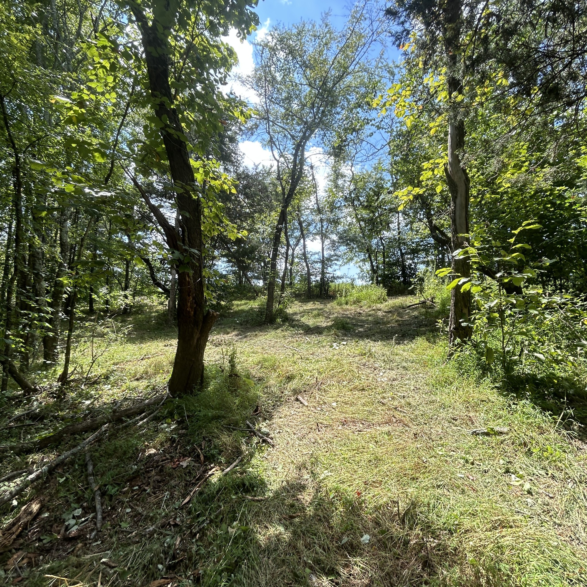 0 Boston Theta Road Columbia, TN 38401 - Photo 4 of 10 Gallery Image 4