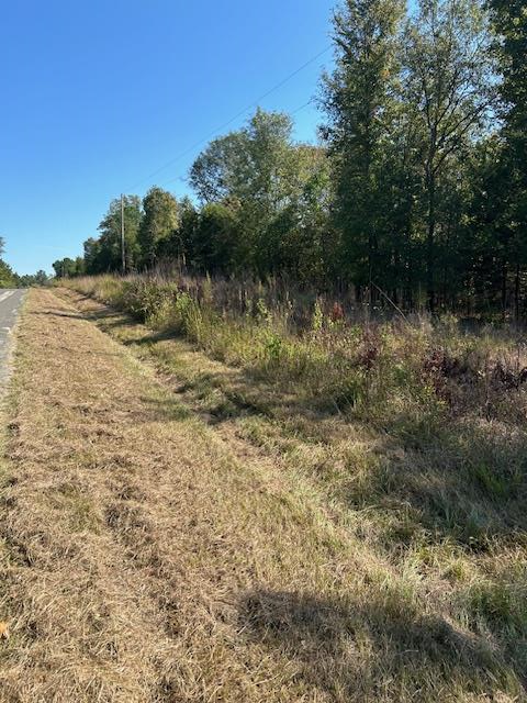 0 Lot 9 Catfish Cove Road Waterloo, SC 29384 - Photo 1 of 20 Gallery Image 1