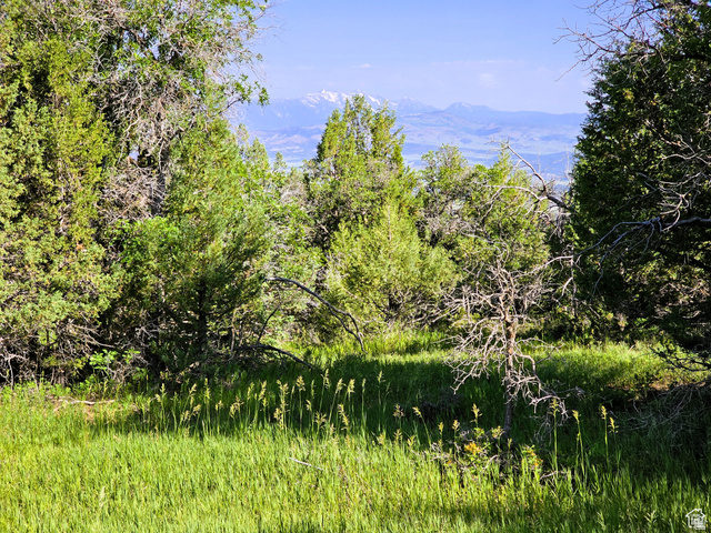 3 Whispering Pines Road, Unit 3 Mount Pleasant, UT 84647 - Photo 6 of 8