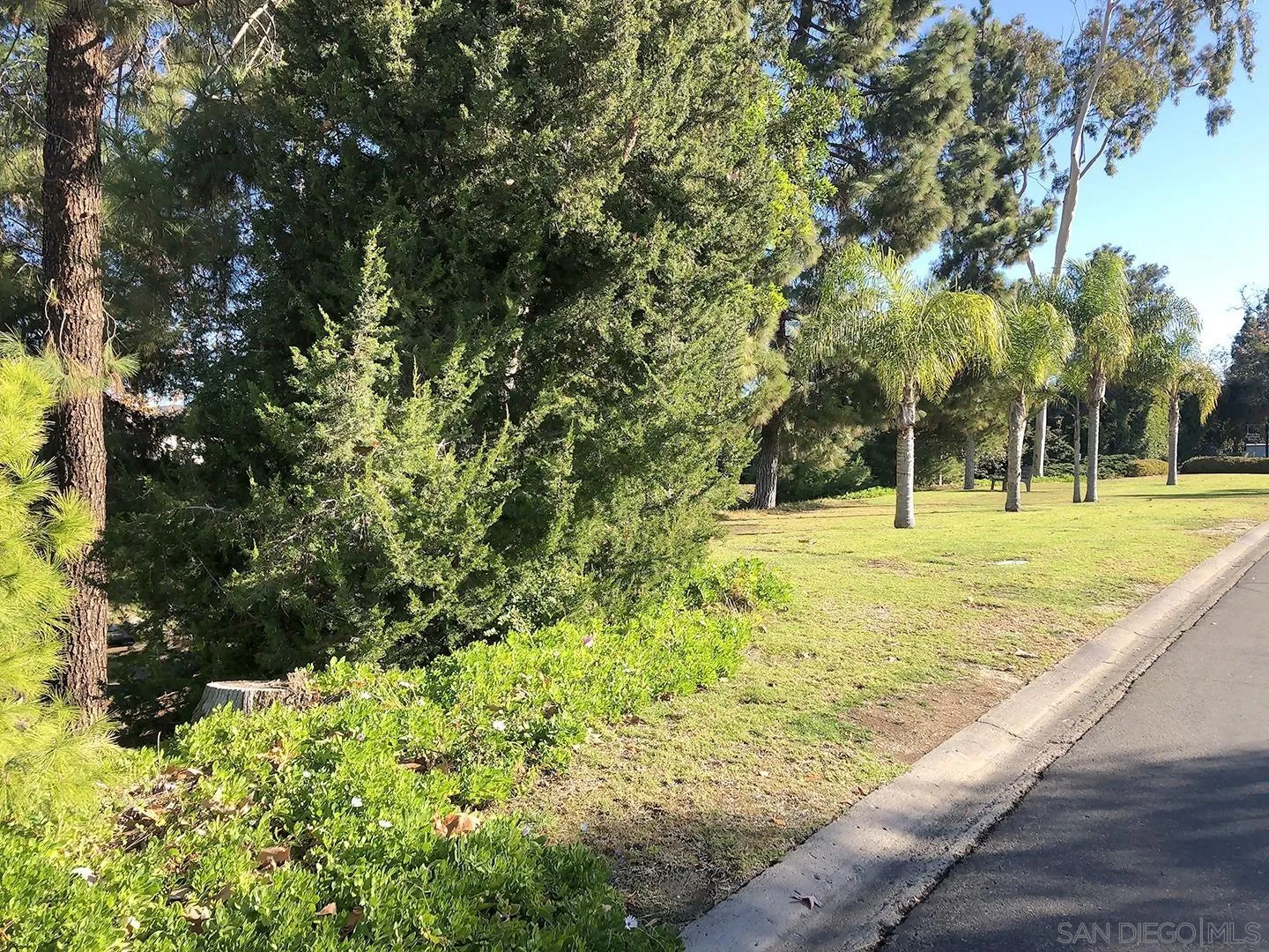 3367 Don Pablo Drive Carlsbad, CA 92010 - Photo 25 of 25 a view of an outdoor space and a yard