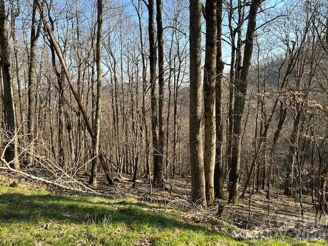 a view of outdoor space with a lake view