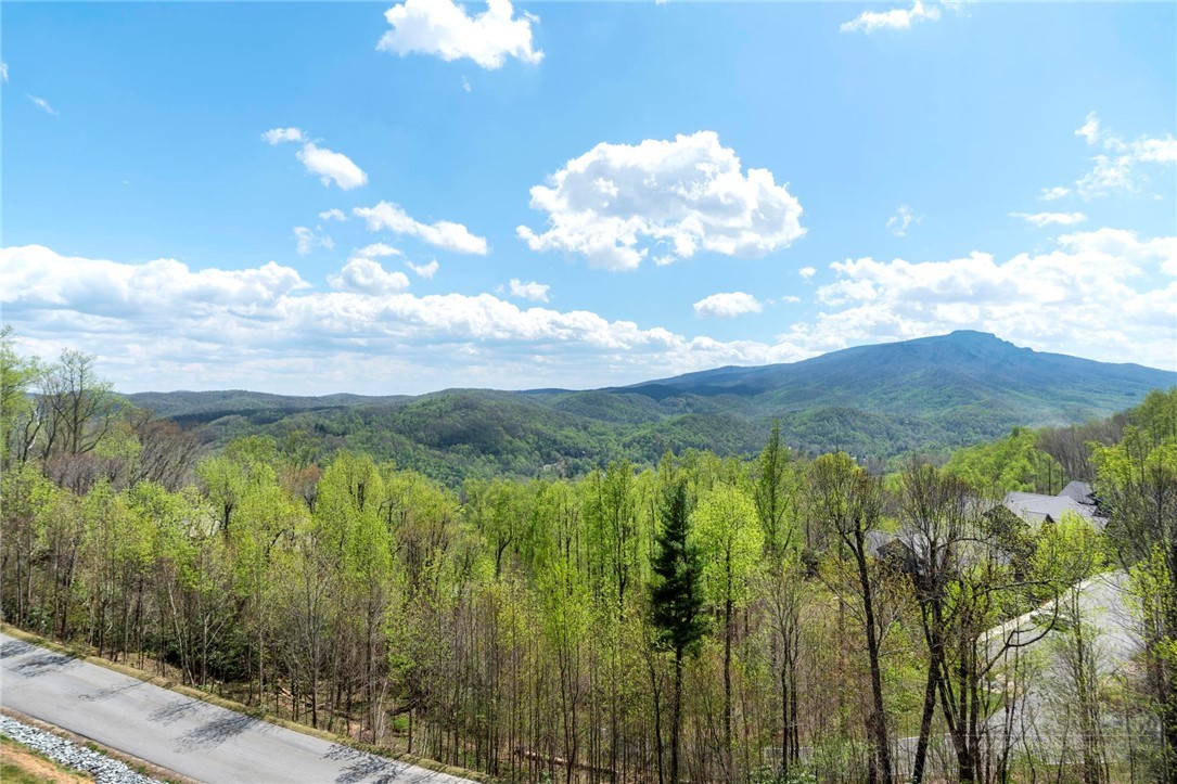 195 Red Tail Summit, Unit CF5 Boone, NC 28607 - Photo 18 of 48