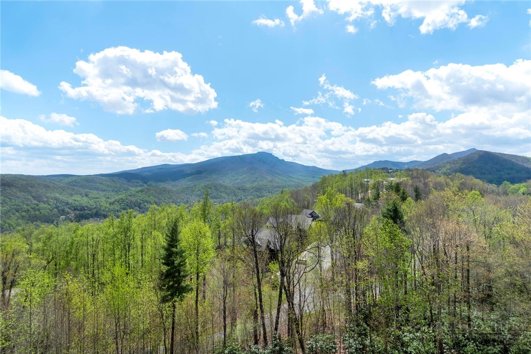 195 Red Tail Summit, Unit CF5 Boone, NC 28607 - Photo 19 of 48