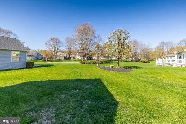 a view of a big yard with a large trees