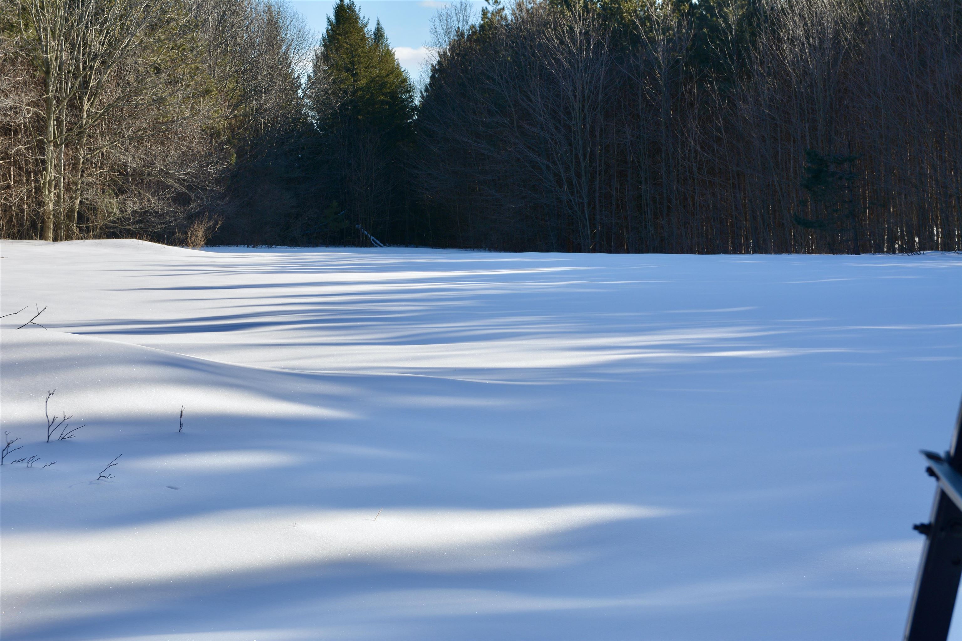 0 South Schomberg Road Cedar, MI 49621 - Photo 26 of 70