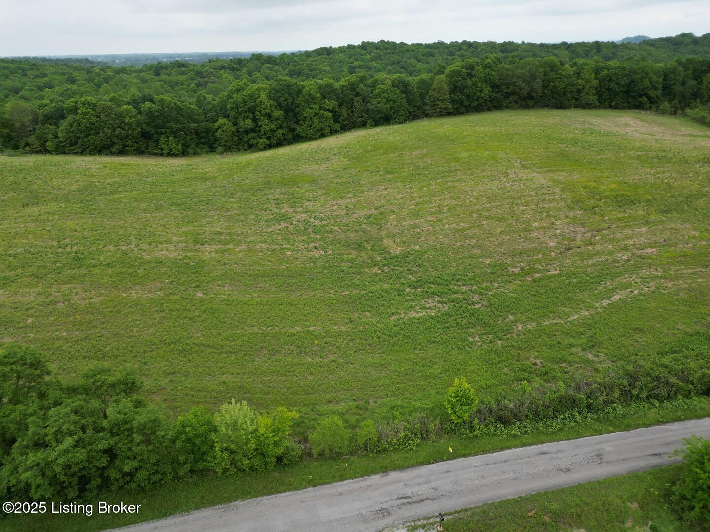 Lot 4 Duvall Road Caneyville, KY 42721 - Photo 5 of 5 L4-3