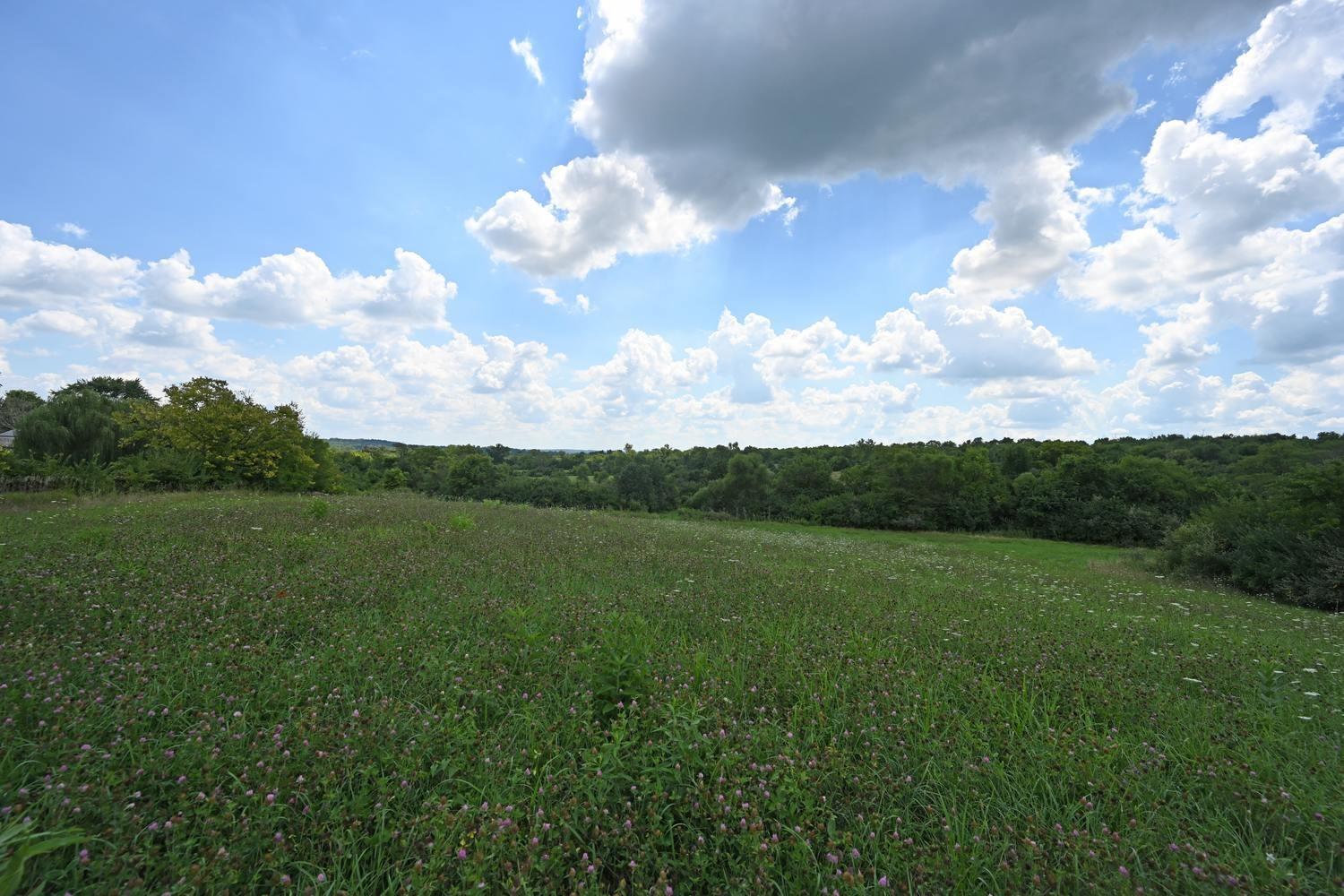 21.229-ac 21.229-ac Waynes Trace Road Hamilton, OH 45011 - Photo 3 of 23