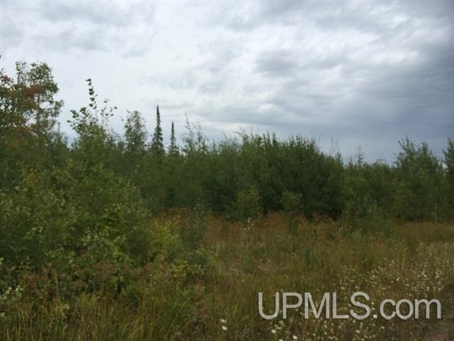 Tbd Off Wpa Road Crystal Falls, MI 49920 - Photo 1 of 1