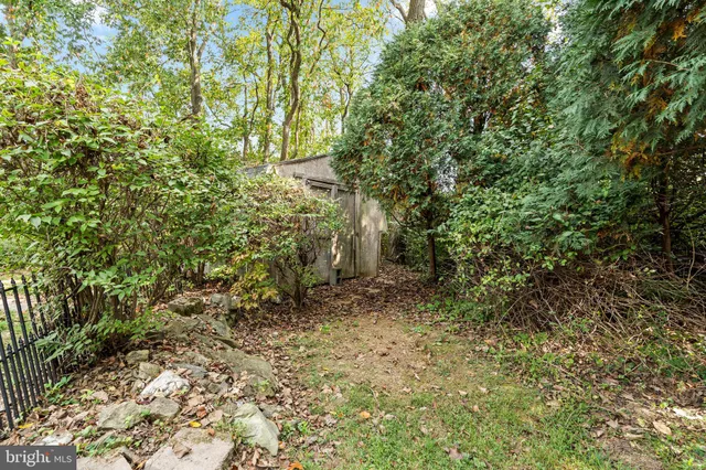 a view of a pathway with a tree