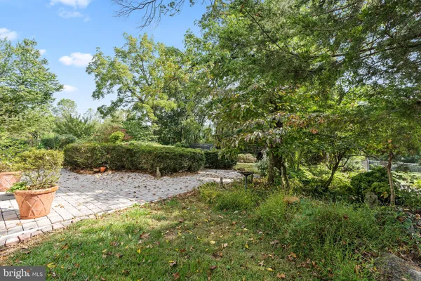 a view of a garden with plants