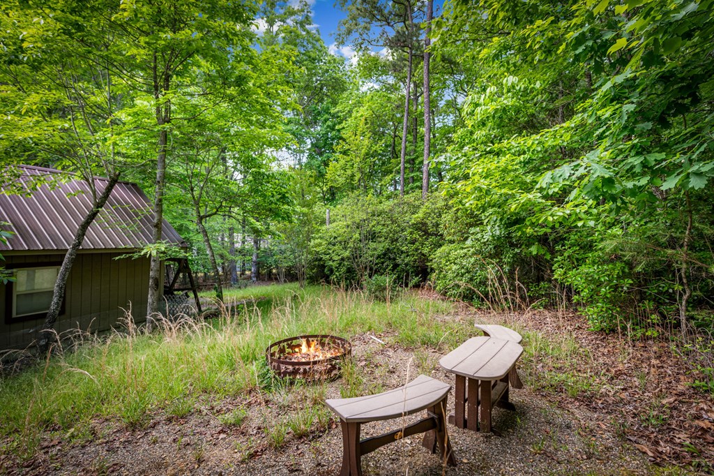 118 Foxfire Road Blairsville, GA 30512 - Photo 10 of 58