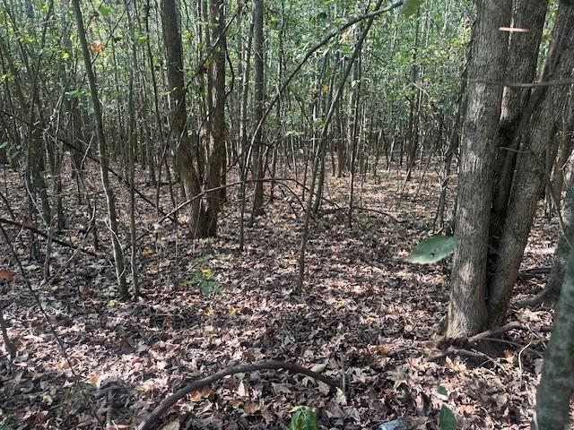 0 Towboat Lane Adamsville, TN 38310 - Photo 2 of 9 View of undeveloped land