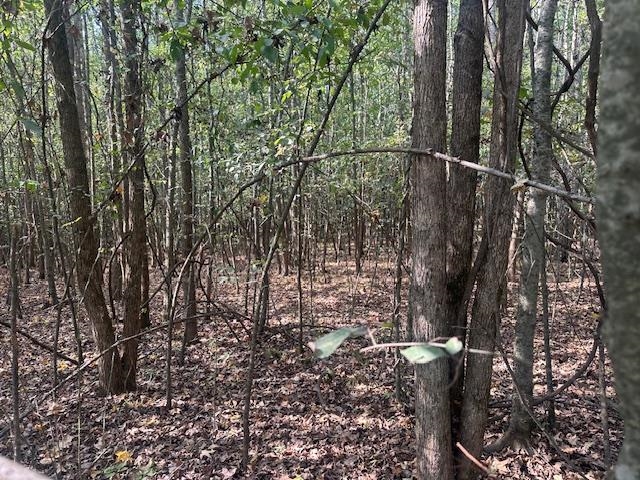 0 Towboat Lane Adamsville, TN 38310 - Photo 5 of 9 View of tree filled area