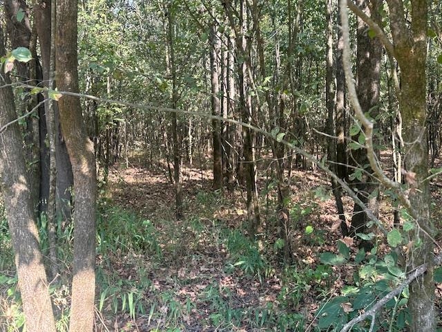 0 Towboat Lane Adamsville, TN 38310 - Photo 7 of 9 View of wooded area