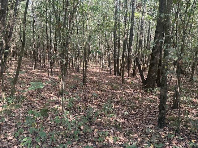 0 Towboat Lane Adamsville, TN 38310 - Photo 8 of 9 View of woods