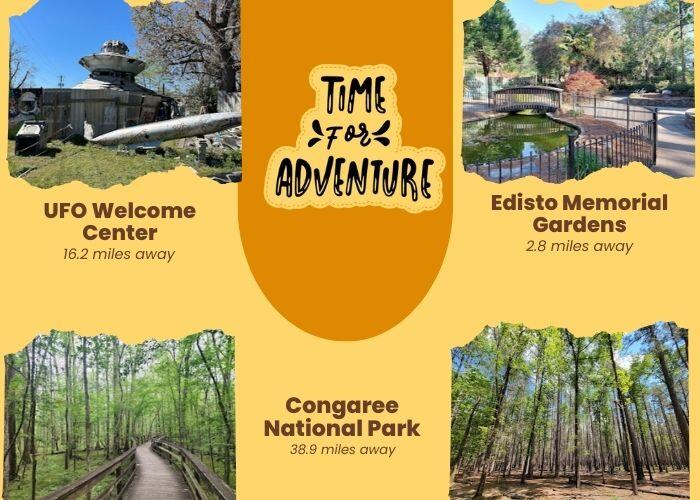 1392 Morris Street Orangeburg, SC 29115 - Photo 13 of 14 12