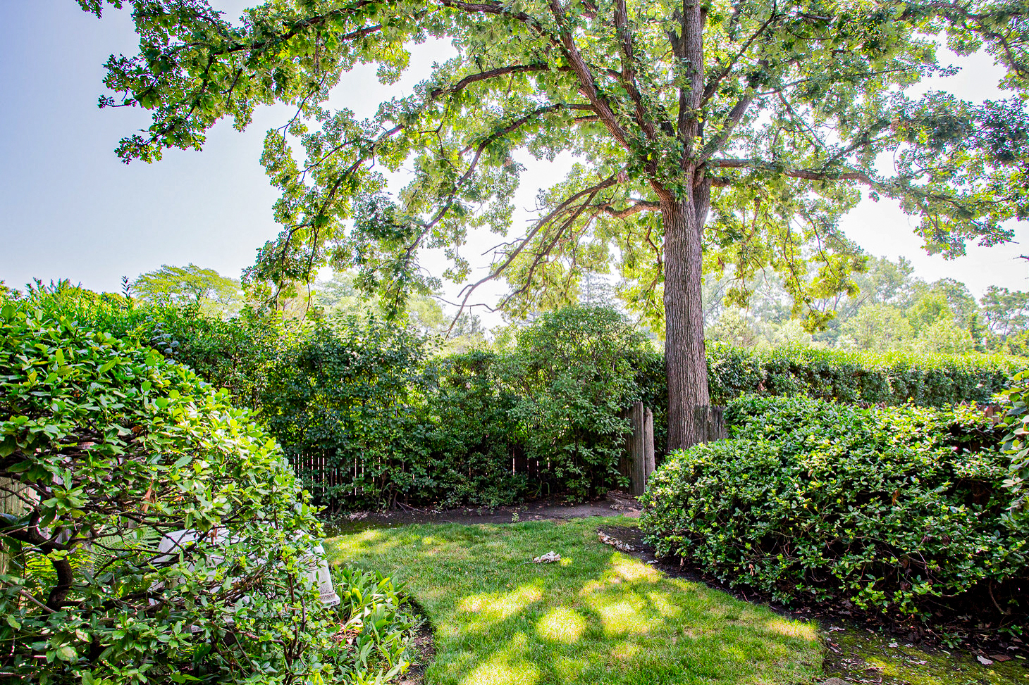 590 Green Bay Road Glencoe, IL 60022 - Photo 20 of 33 a view of a garden