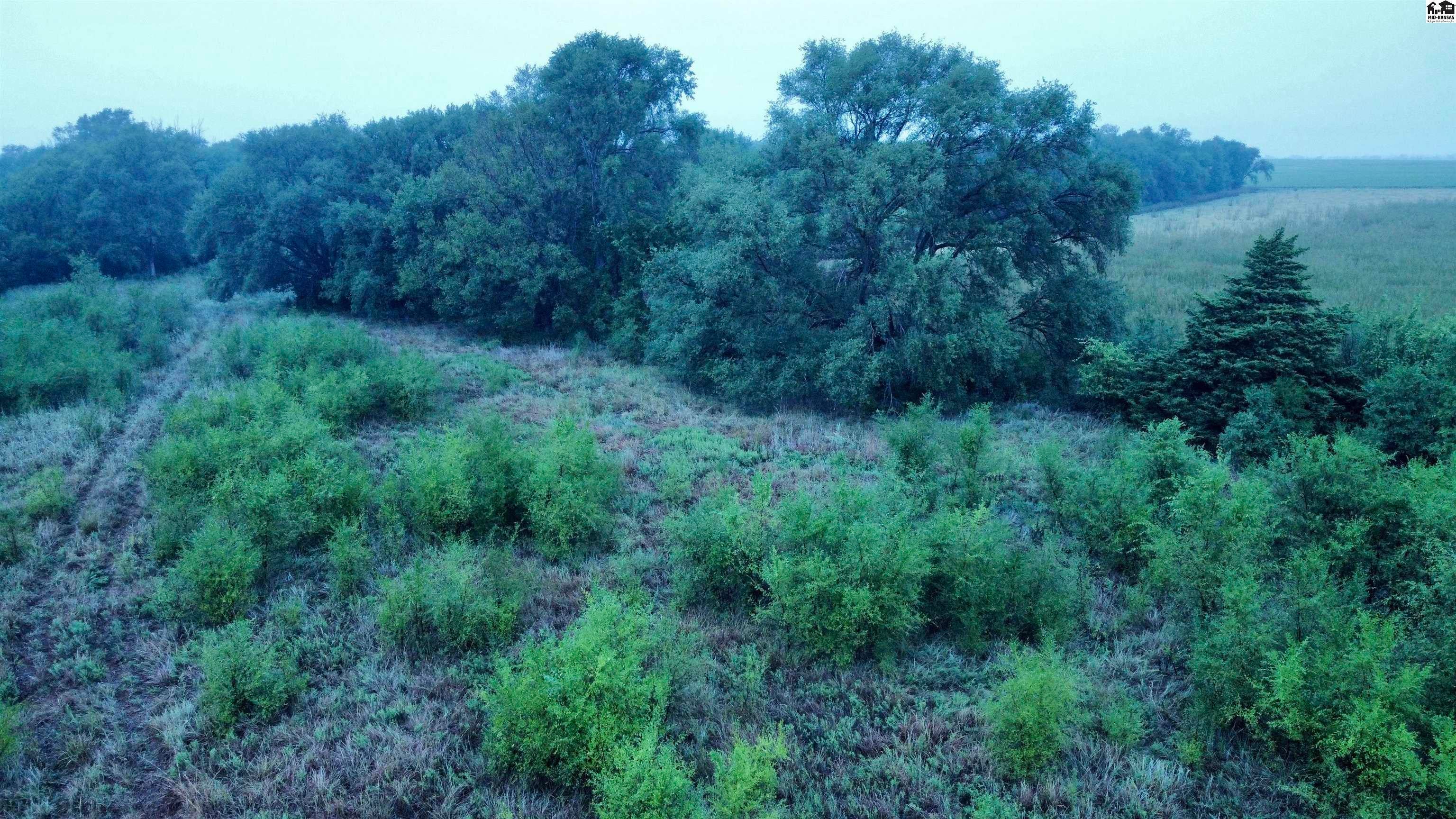 0 South Dean Road Pretty Prairie, KS 67570 - Photo 9 of 30 Gallery Image 9