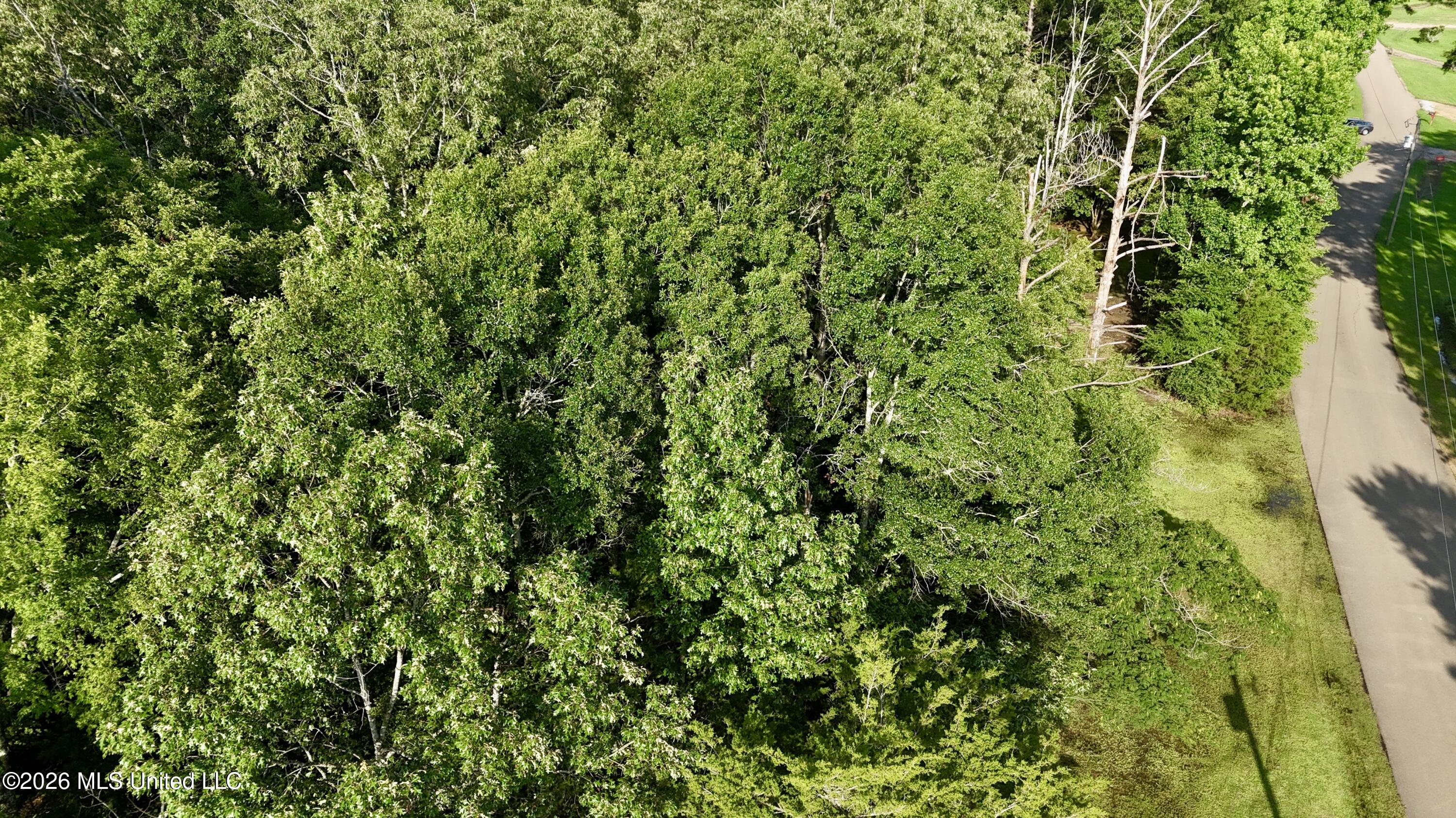 Mcdonald Road Madison, MS 39110 - Photo 5 of 6 dji_fly_20260625_175358_0318_17827374975