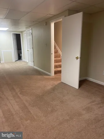 a view of a forest with trees