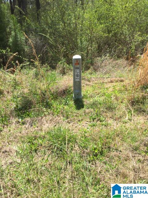 101 Foliage View, Unit LOT 56 Alabaster, AL 35007 - Photo 2 of 4