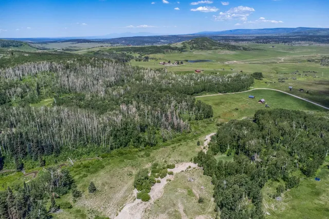 a view of a backyard with a garden