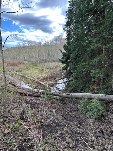 a view of outdoor space and garden