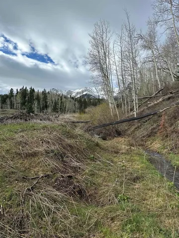 a view of a backyard with plants and a patio
