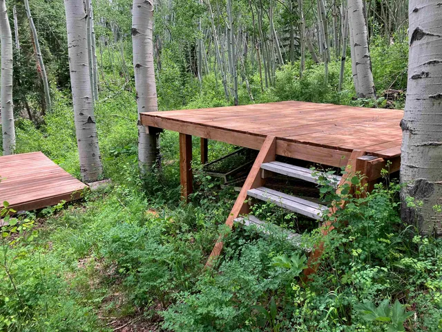 a view of a lush green forest with lots of trees
