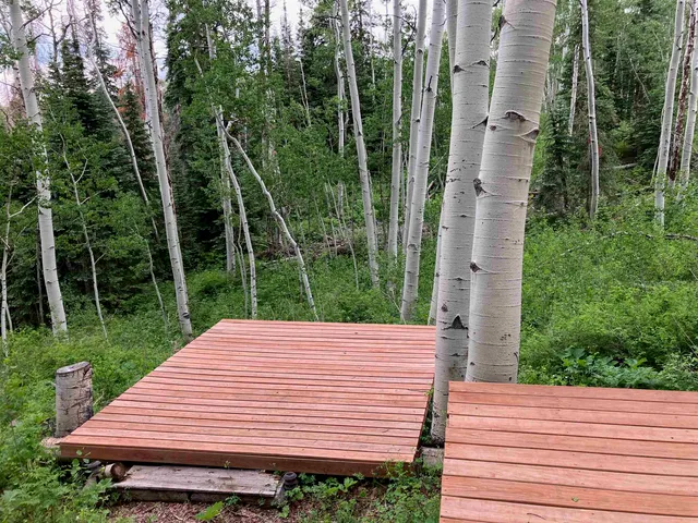 a view of a yard with a tree