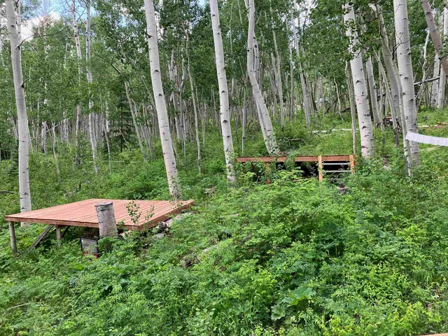 $295,000 | 3170 San Juan Vista Road, Placerville, CO 81430