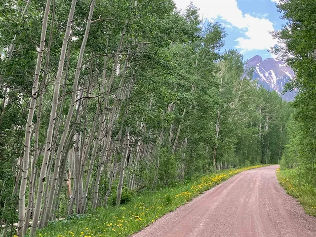 $295,000 | 3170 San Juan Vista Road, Placerville, CO 81430