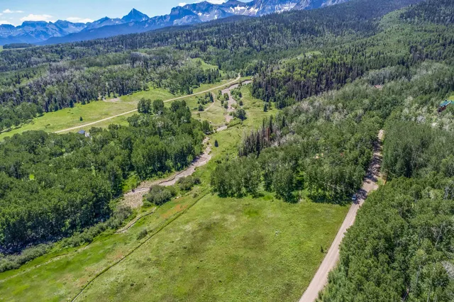 a view of a lush green hillside and a houses